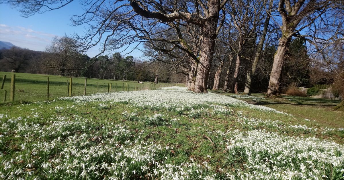 Keir Estate Historic homelands of the founder of the SAS Ramblers